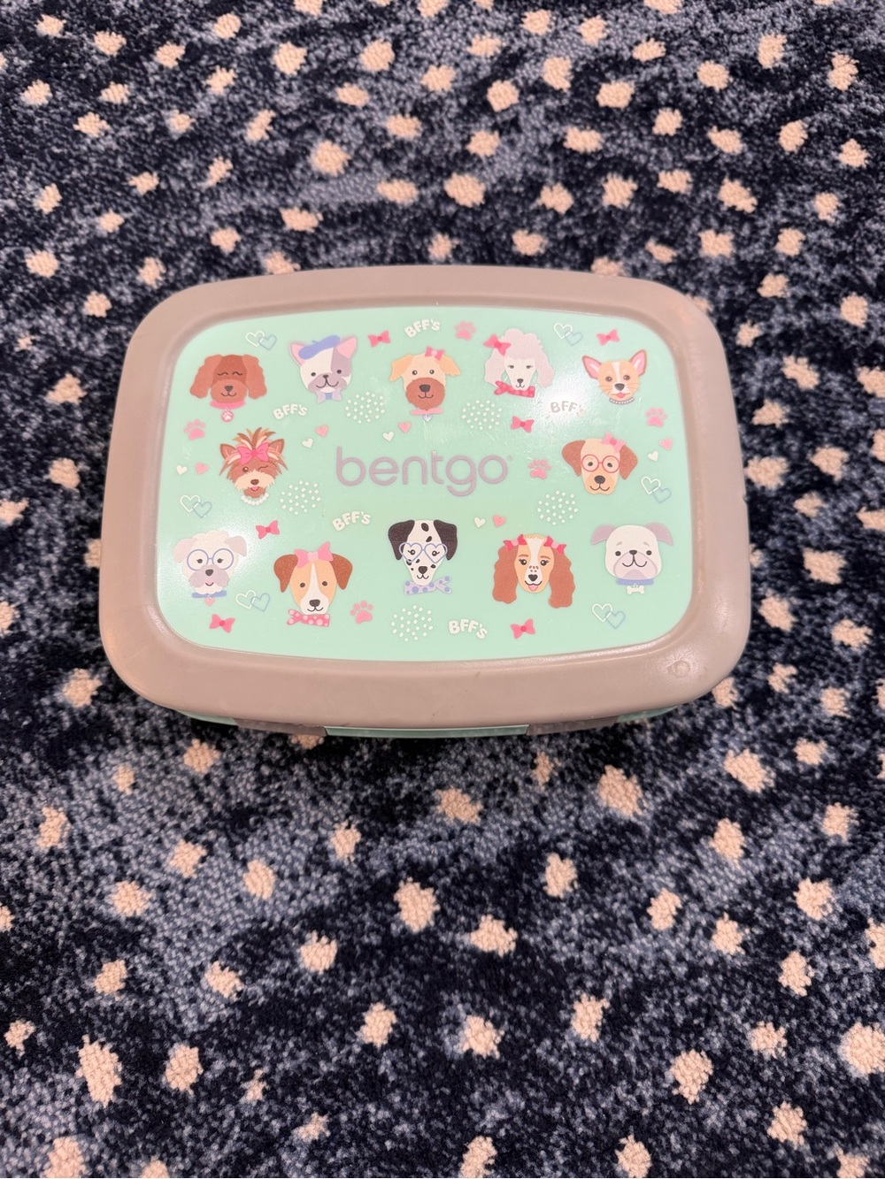 Bentgo Lunchboxes - Picture 2 of 16
